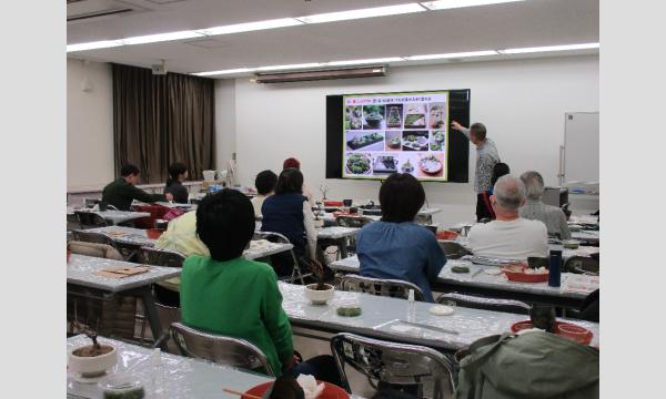 No.21　はじめての盆栽入門〜ミニ盆栽を作る イベント画像3