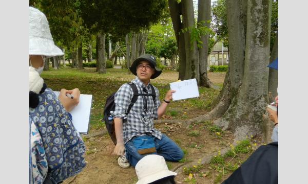 No.26　みちくさ散歩　－身近な公園で見つけよう！小さな大自然－ in東京イベント