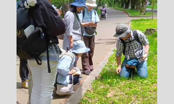No.26 みちくさ散歩 -身近な公園で見つけよう!小さな大自然- イベント画像2