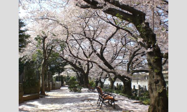 No.26 みちくさ散歩 -身近な公園で見つけよう!小さな大自然- イベント画像3