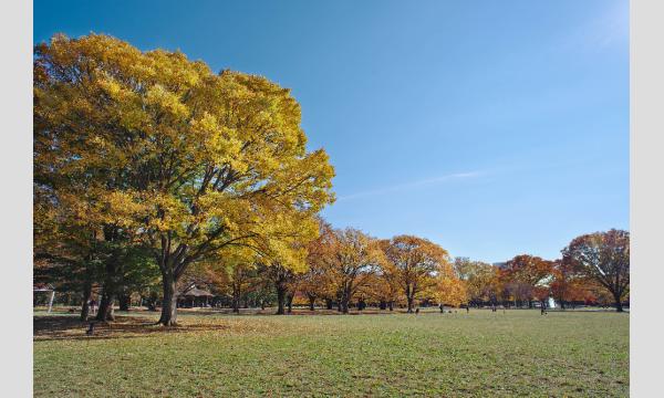 No.14　代々木公園の歴史と秋景色を訪ねる in東京イベント
