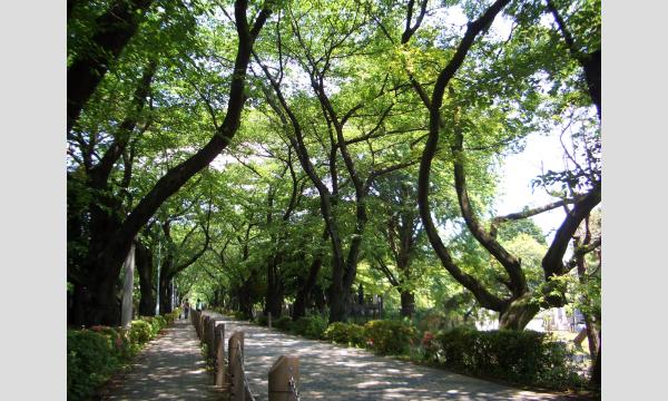 No.4　＜TOKYO GREEN BIZ 関連講座2＞　東京  青山の緑～「青山霊園」と「ののあおやま」を訪ねる～ in東京イベント