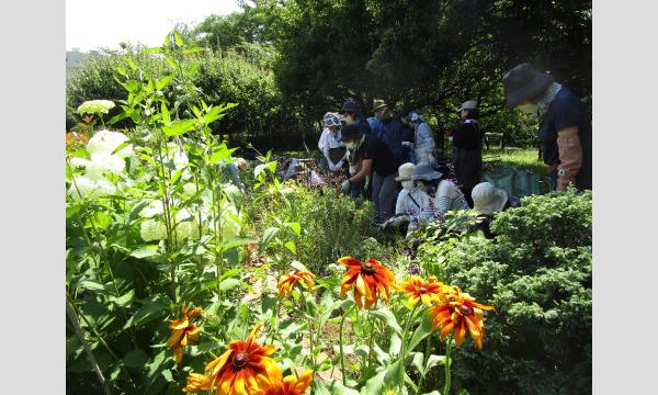 公益財団法人 東京都公園協会 緑と水の市民カレッジ事務局のガーデナー入門講座 中級編後期④イベント