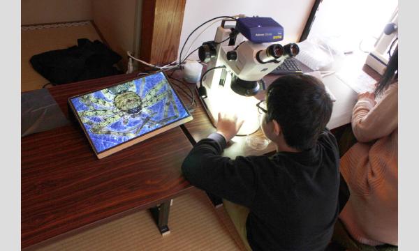 No.9 ＜TOKYO GREEN BIZ 関連講座3＞「水の中の生きもの観察会  浜離宮恩賜庭園」小学3年～中学3年 in東京イベント