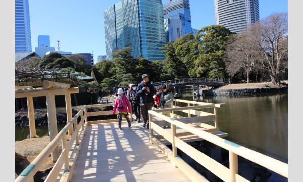No.9 ＜TOKYO GREEN BIZ 関連講座3＞「水の中の生きもの観察会  浜離宮恩賜庭園」小学3年～中学3年 イベント画像2