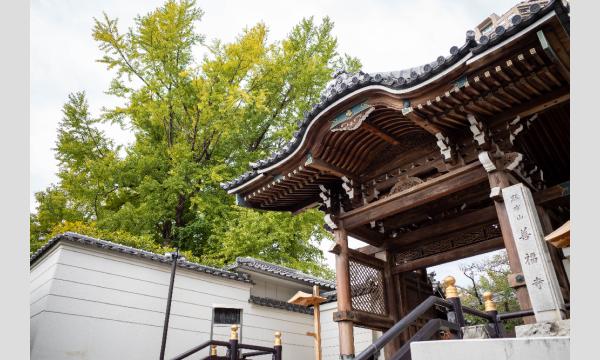 令和6年度 自転車文化センター 東京オータムポタリング申込 イベント画像1