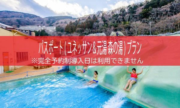 平日用【HP限定割引（通常チケット）】パスポート（ユネッサン＆元湯 森の湯）プラン　2022年10月～ イベント画像1
