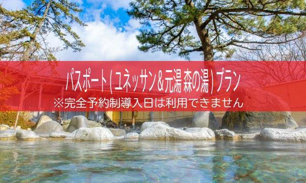 平日用【HP限定割引（通常チケット）】パスポート（ユネッサン＆元湯 森の湯）プラン　2022年10月～ イベント画像2