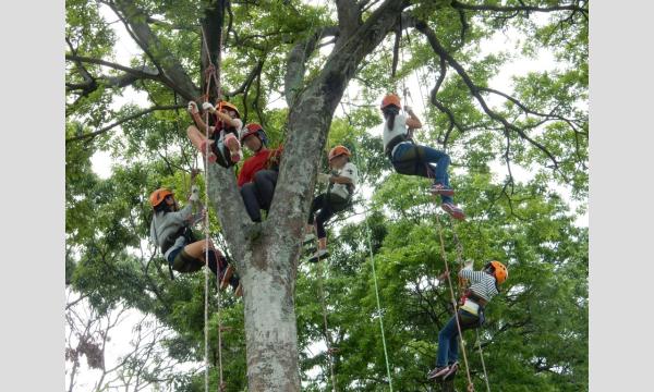 ツリークライミング in 山田池公園 in大阪イベント