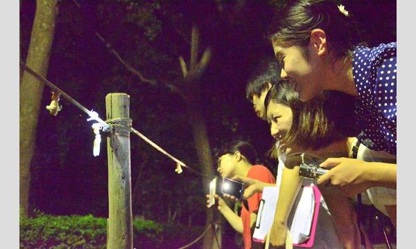 セミの羽化を観察しよう！2022 イベント画像2