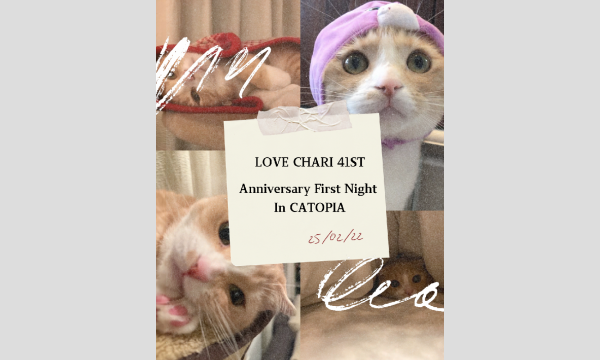 LOVE CHARI 41st 〜Anniversary First Night In CATOPIA〜 in東京イベント