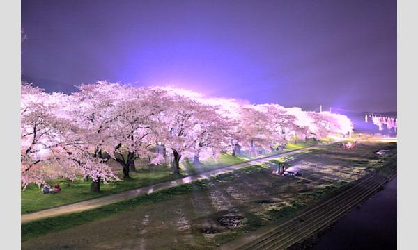 【4/11〜12、18〜19】今年も開催！夜空に無数のスカイランタンを飛ばす「北上スカイランタンフェスティバル2026」 イベント画像3