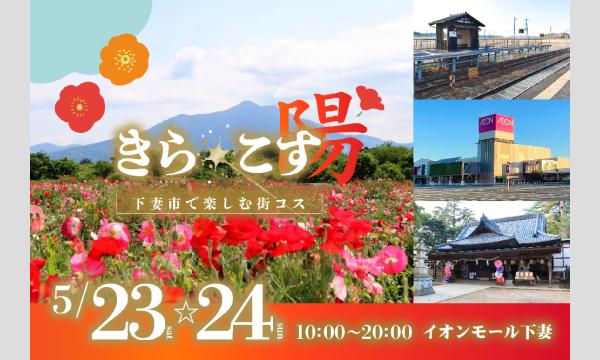 rain coat studio / きら☆こす実行委員会の【5/23(土)〜24(日)】茨城県下妻市・満開のポピー畑の中で楽しむ街コスイベント 「きら☆こす(陽)」イベント