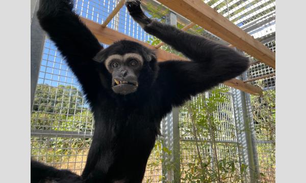 10/5(日) バックヤード見学会 イベント画像2