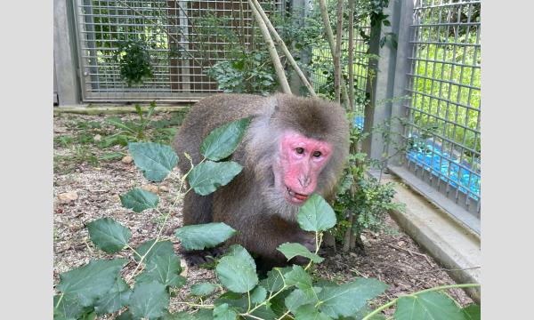 10/5(日) バックヤード見学会 イベント画像3