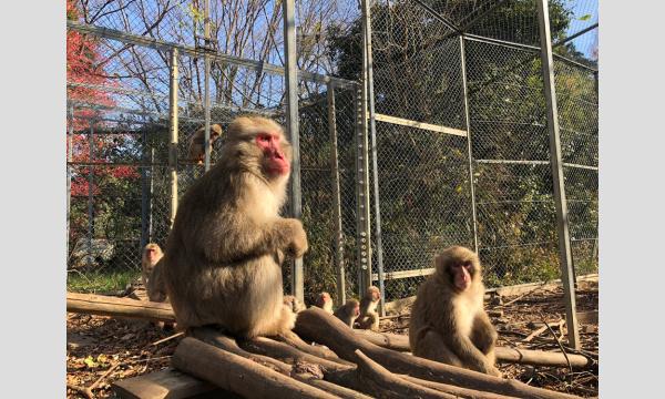 見学会「動物園の“裏側”から見る身近な野生動物」【3/22開催】 イベント画像1