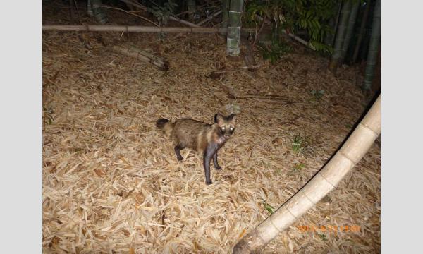 見学会「動物園の“裏側”から見る身近な野生動物」【3/22開催】 イベント画像3