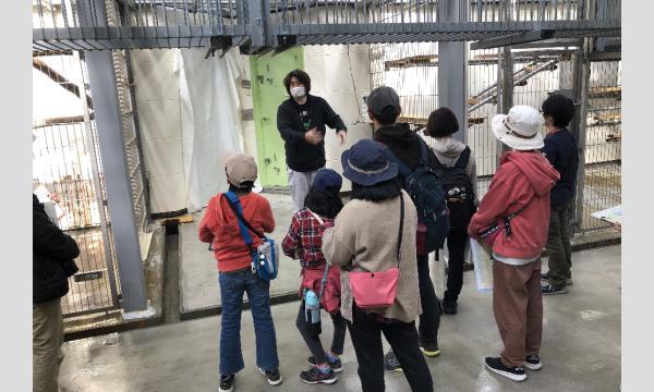 見学会「動物園の“裏側”から見る霊長類の社会」【5/30開催】 イベント画像2