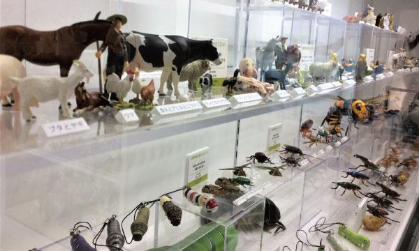 2025/10/30（木）【特別展開催期間 前売り入館券】海洋堂ホビー館四万十 イベント画像3