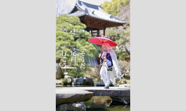 足利仮装探訪（コスコテ感謝祭in足利歴史文化ゾーン）2024.10.12 イベント画像2