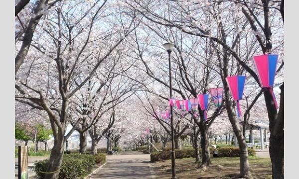 4/5（日）桜×ストリートフォトウォーク&ワークショップin東大島 イベント画像3