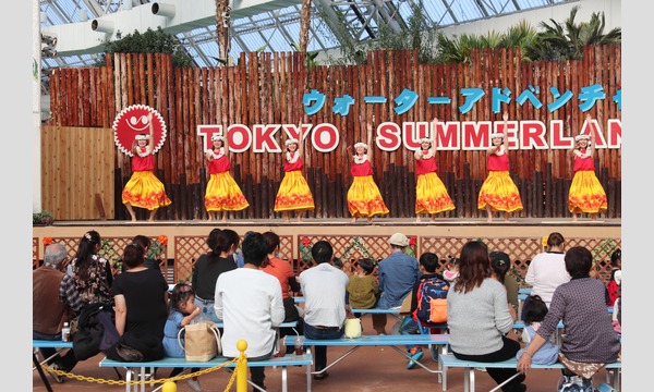 南国フェスティバルin東京サマーランド　12/7（土）・12/8（日）２日間