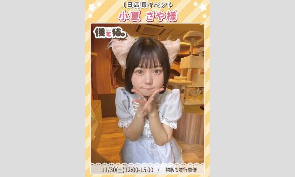 小夏さや 限定チェキ^._.^ - パスマーケット