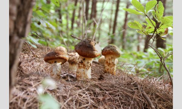 10月5日（日）開催！ONSEN・ガストロノミーウォーキング in 信州上田 イベント画像2