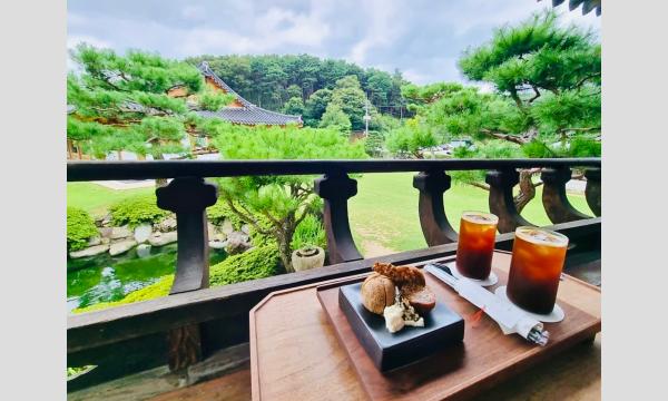 木谷朋子のお茶旅講座　第46回　韓方の町「大邱」で学ぶ心とカラダにやさしい旅～ティーセラピーと韓国第３の都市「大邱」の最新お茶事情イベント