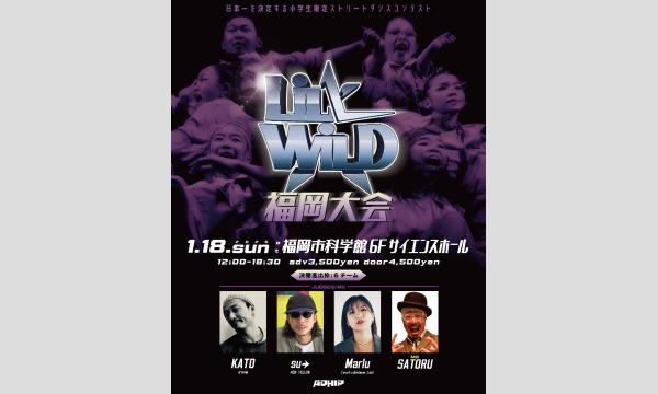 2026/1/18(日)LiL’ WiLD福岡大会 イベント画像1