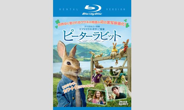 9.26 星空の映画館 映画鑑賞チケット【ピーターラビット（日本語吹替版）】 イベント画像2