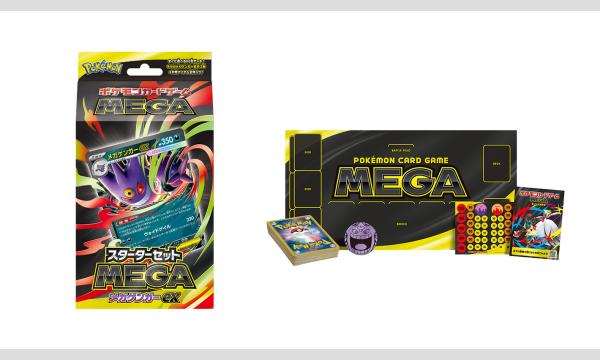 ポケモンカードゲーム MEGA HULK EX 1箱テラスタルフェス2箱セット 販売】ポケモンカードゲーム「テラスタルフェスEX」/「スターターMEGA