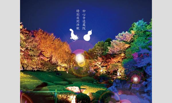 光と時間その先に in京イベント