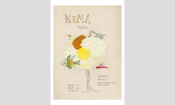 ぬまトリオ イベント画像1