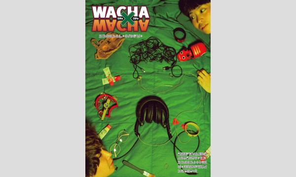 かとゆいライブ なきむし見習いシンガー vol.12 ~かとゆい爆誕編~ in