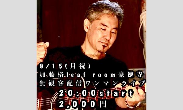 9/15(月祝)有料限定配信チケット 加藤格leaf room豪徳寺無観客配信ワンマンライブ イベント画像1