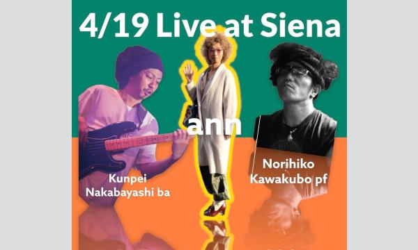 SienaLive 楽しめたよTip イベント画像1