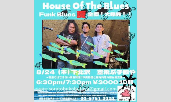 ナガオ ダイの8/24（木）House of The Blues   ライブ　イベント