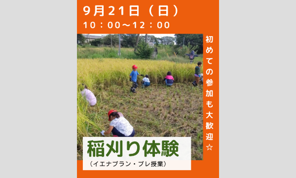 【2025年9月21日】稲刈り体験（「イエナプラン」プレ授業）＠埼玉県宮代町（小学生対象）
