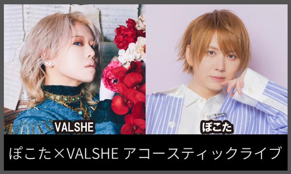 ぽこた×VALSHE アコースティックライブ in東京イベント