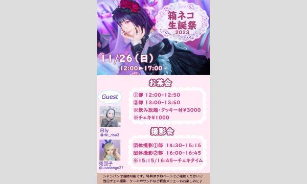 箱ネコの【2023】箱ネコ11/26生誕祭イベント