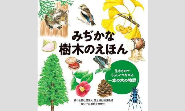 オンライン講座 国家公務員でイラストレーター 平田美紗子さんの語る 森林 描いて 観て 知る 木のおもしろさ パスマーケット オンライン講座 国家公務員でイラストレーター 平田美紗子さんの語る 森林 描いて 観て 知る 木のおもしろさ パスマーケット
