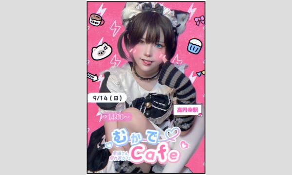 ⟡ むか〜での黒猫さんカフェ ⟡ in東京イベント
