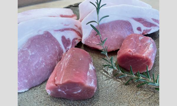 「とんかつ大学 ~日本の豚博士 富士農場・桑原先生を招いて日本の豚・養豚について学ぼう~」 イベント画像3