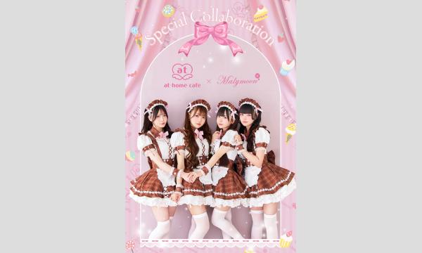 蒼乃爽メイド服撮影会 イベント画像3