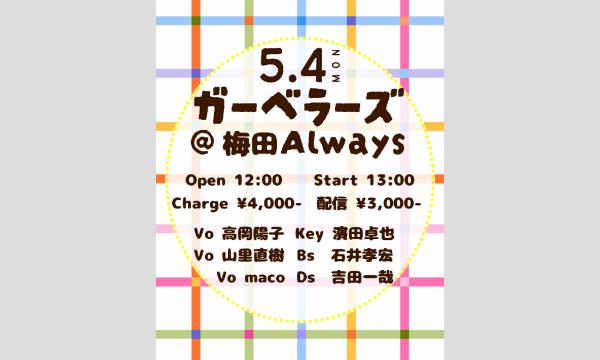 生配信ライブ ガーベラーズ LIVE 5/4  梅田ALWAYS イベント画像1