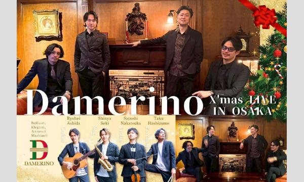 生配信ライブ Damerino  X'mas LIVE IN OSAKA  12/12  梅田ALWAYS イベント画像1