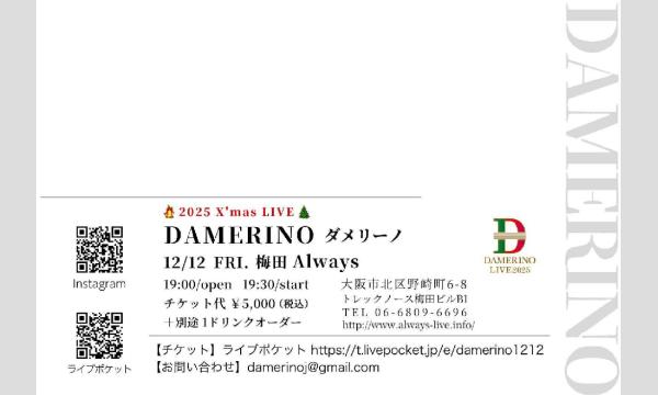 生配信ライブ Damerino  X'mas LIVE IN OSAKA  12/12  梅田ALWAYS イベント画像2