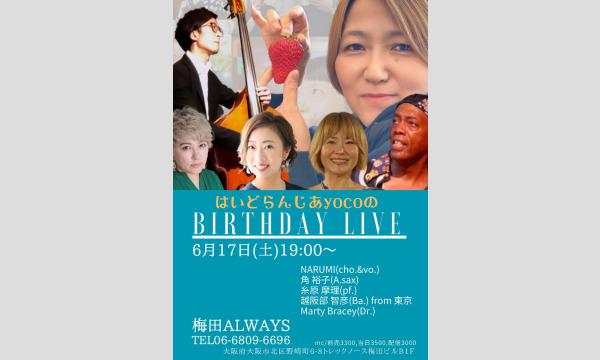 生配信ライブ!はいどらんじあyoco バースデー&レコ発ライブ 2023/6/17 梅田ALWAYS イベント画像1