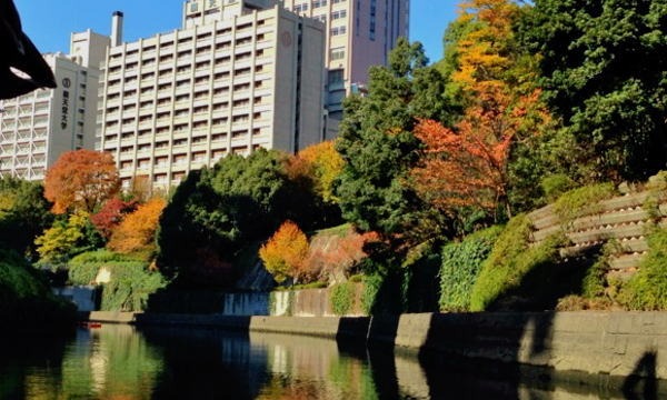 NPO法人あそんで学ぶ環境と科学倶楽部事務局の12/01　午前便　神田川紅葉クルーズ2016/Kandagawa autumn leaves cruiseイベント